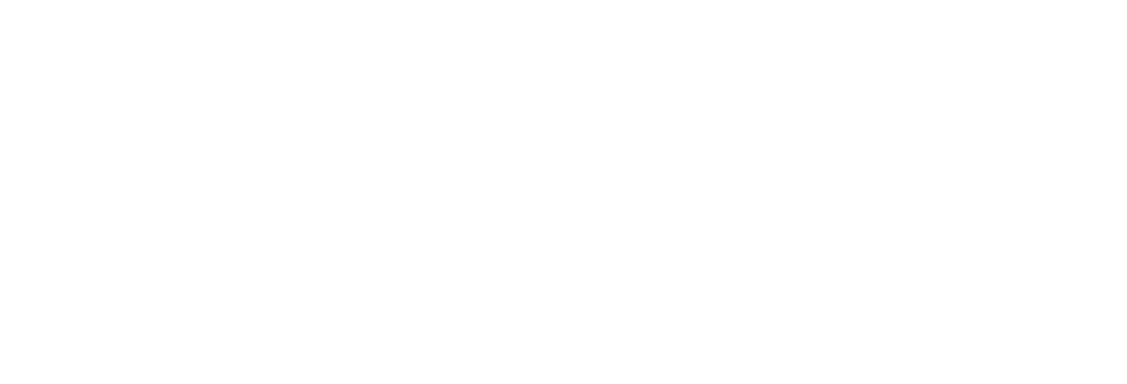 Comprehensive Mental Health Services