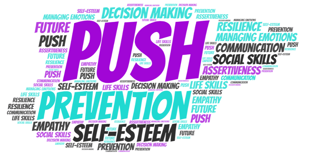 Prevention Utilized for Student Health (PUSH)